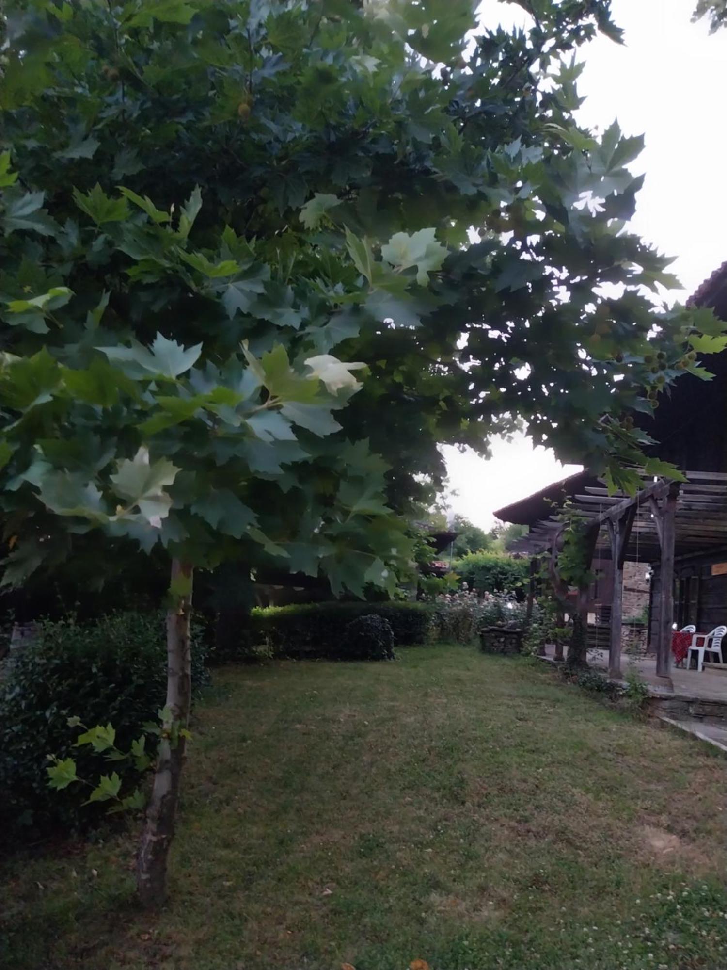 Guest Houses "Zlatna Oresha - Complex" Zheravna Esterno foto